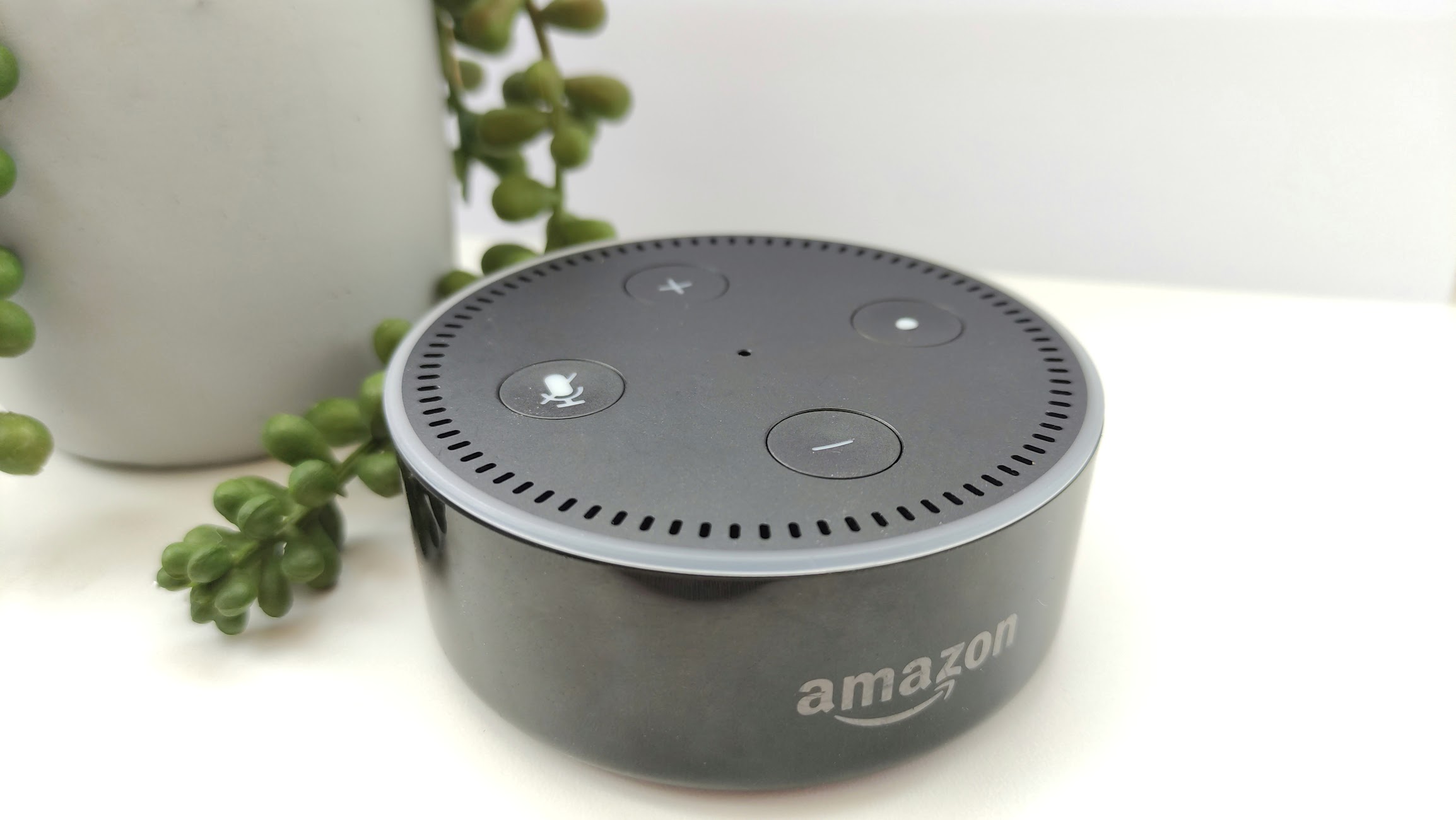 An amazon echo dot 2nd generation on a shelf with a plant in the background